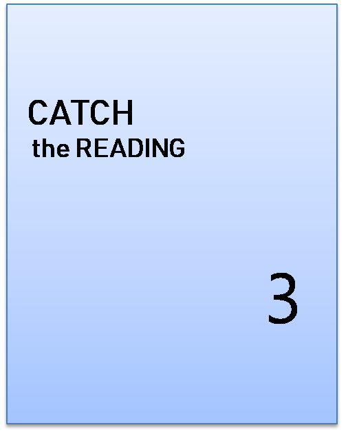 catch the reading 3 표지